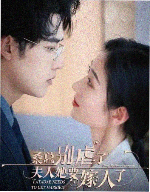 导演白石千鹤作品中的四季转场画面